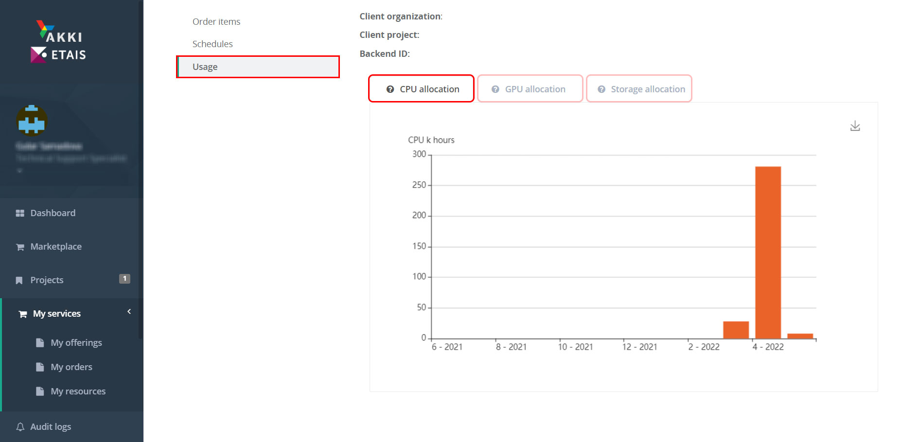 Project allocation reports